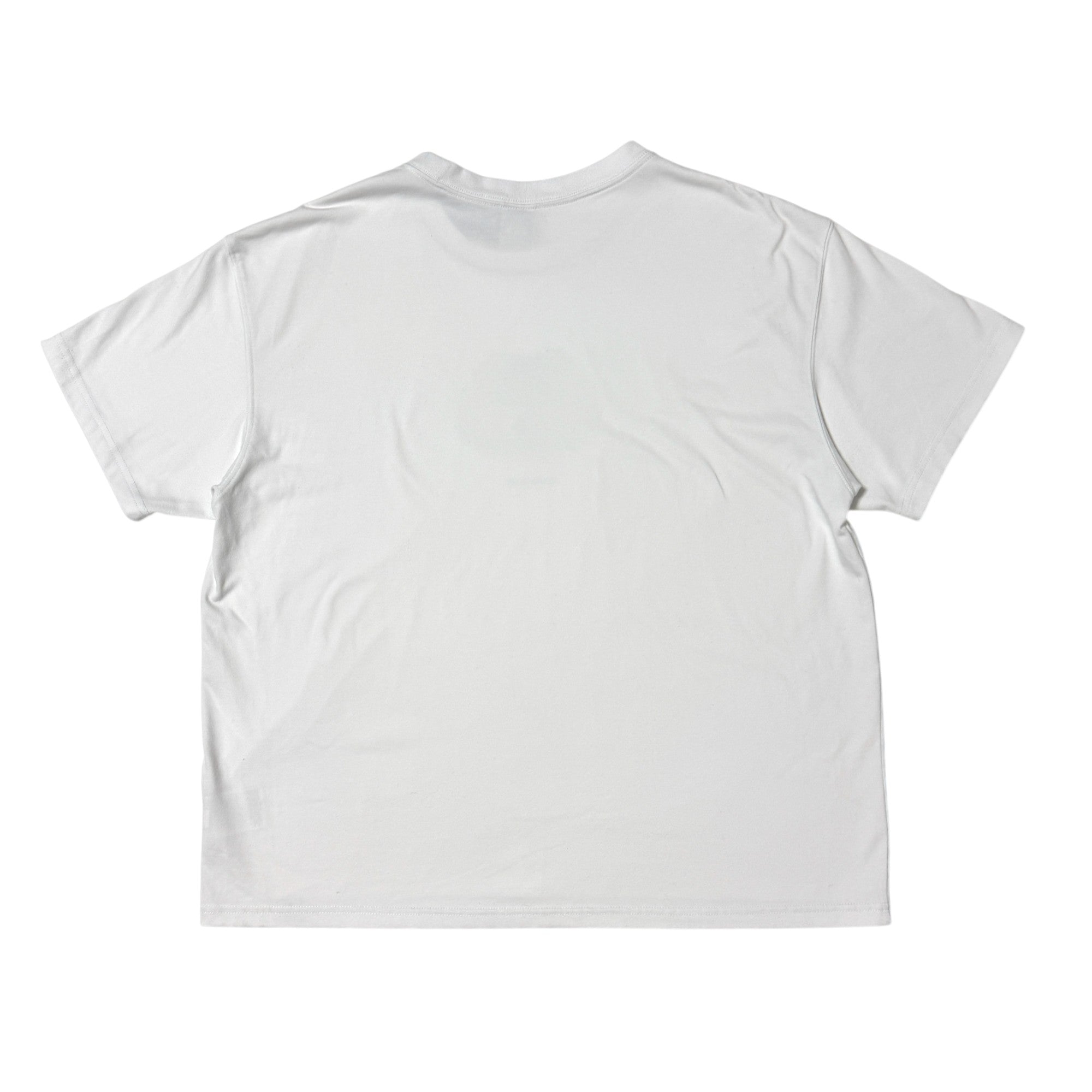 NIKE KOREA ナイキコリア ACG Tシャツ 3XL