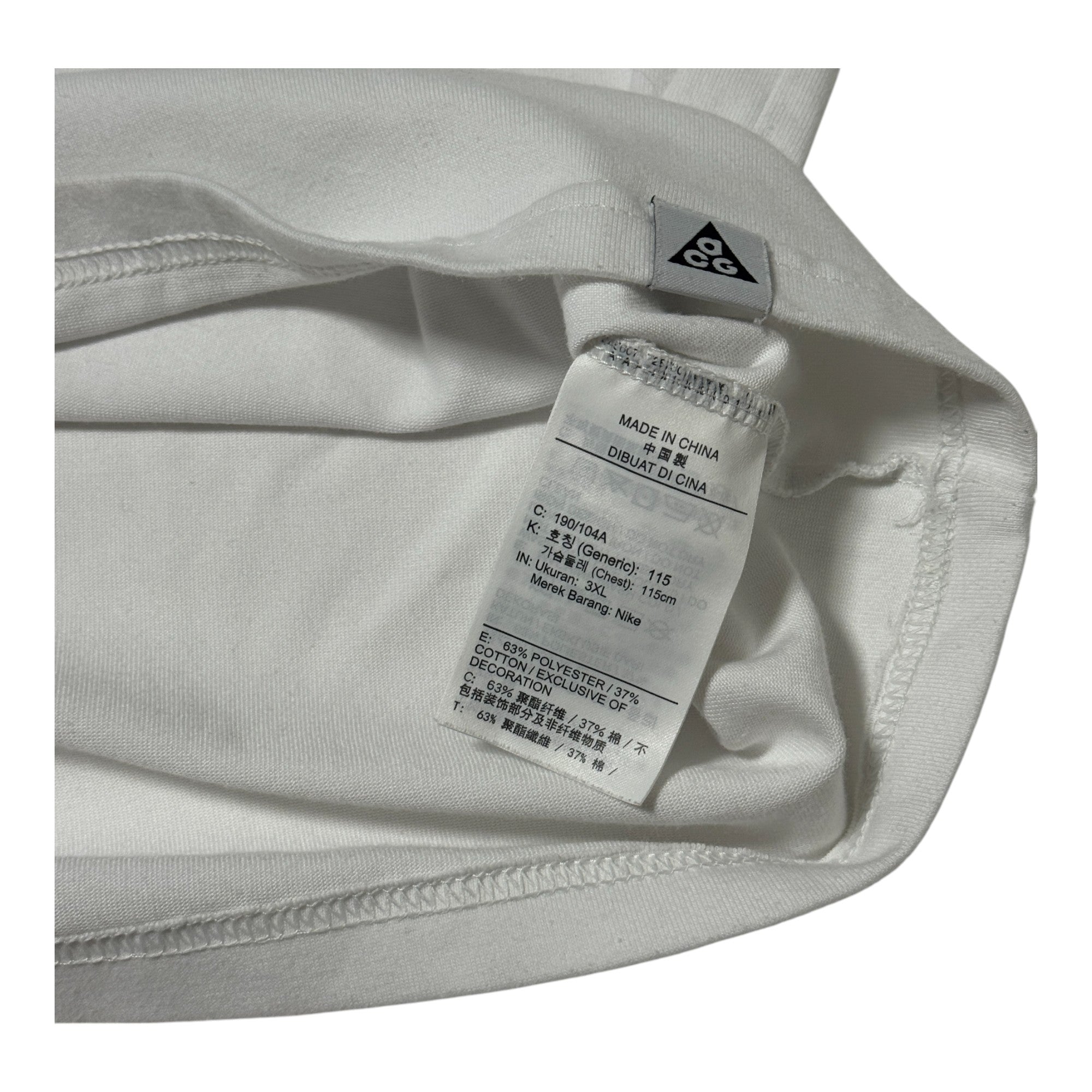 NIKE KOREA ナイキコリア ACG Tシャツ 3XL